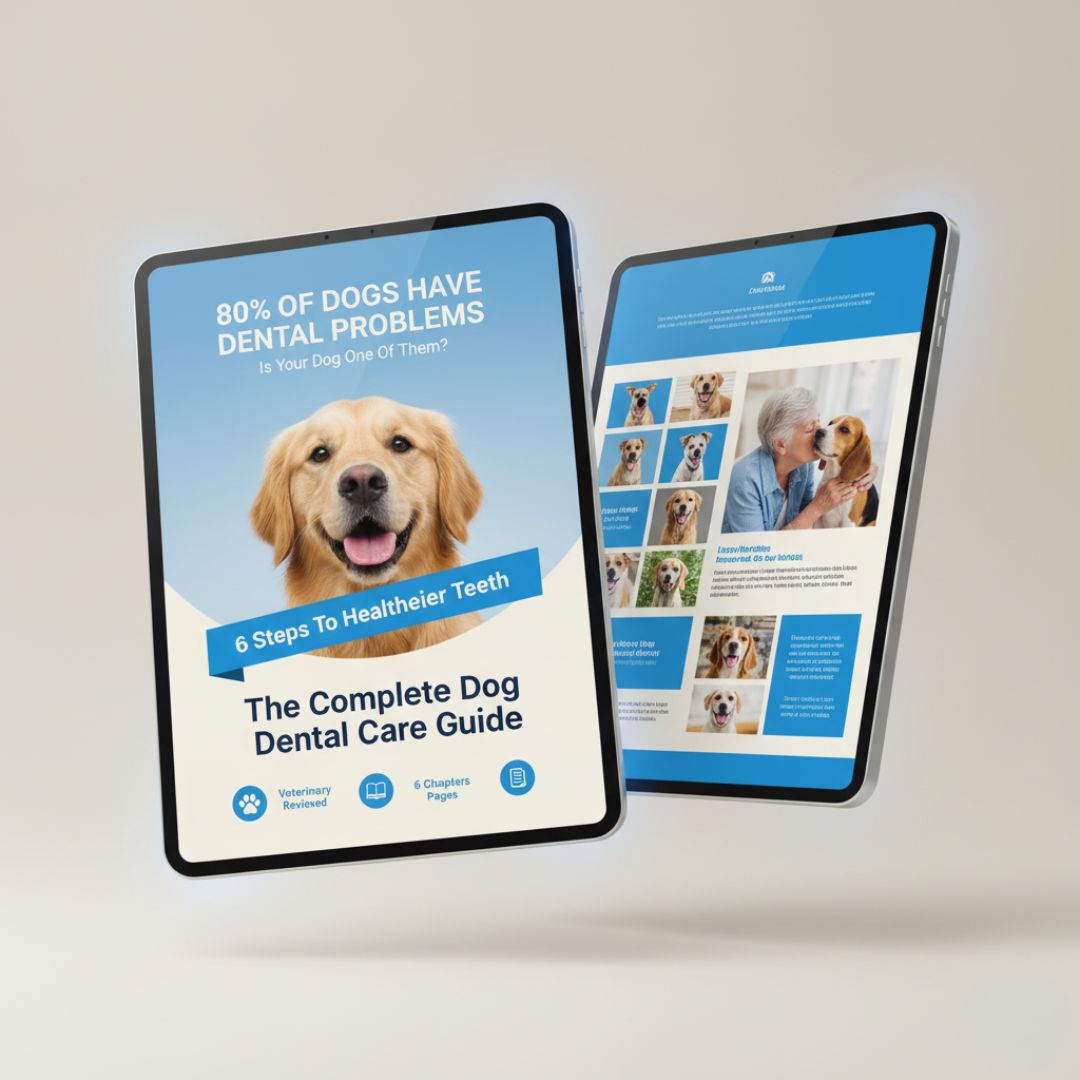 Dog Dental Care E Book