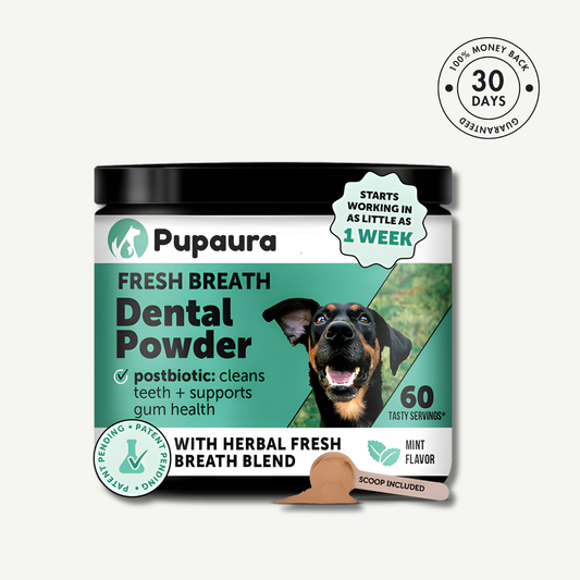 PupAura Dental Powder