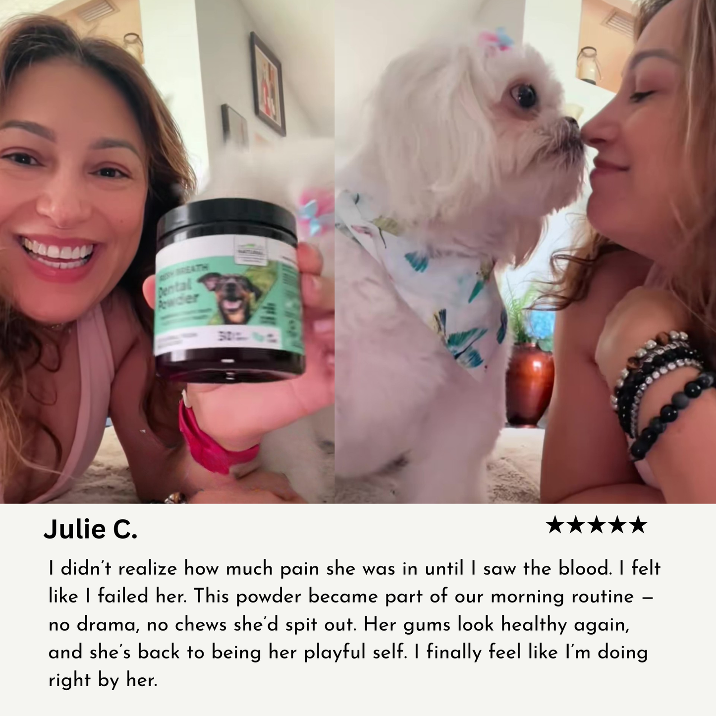 PupAura Dental Powder